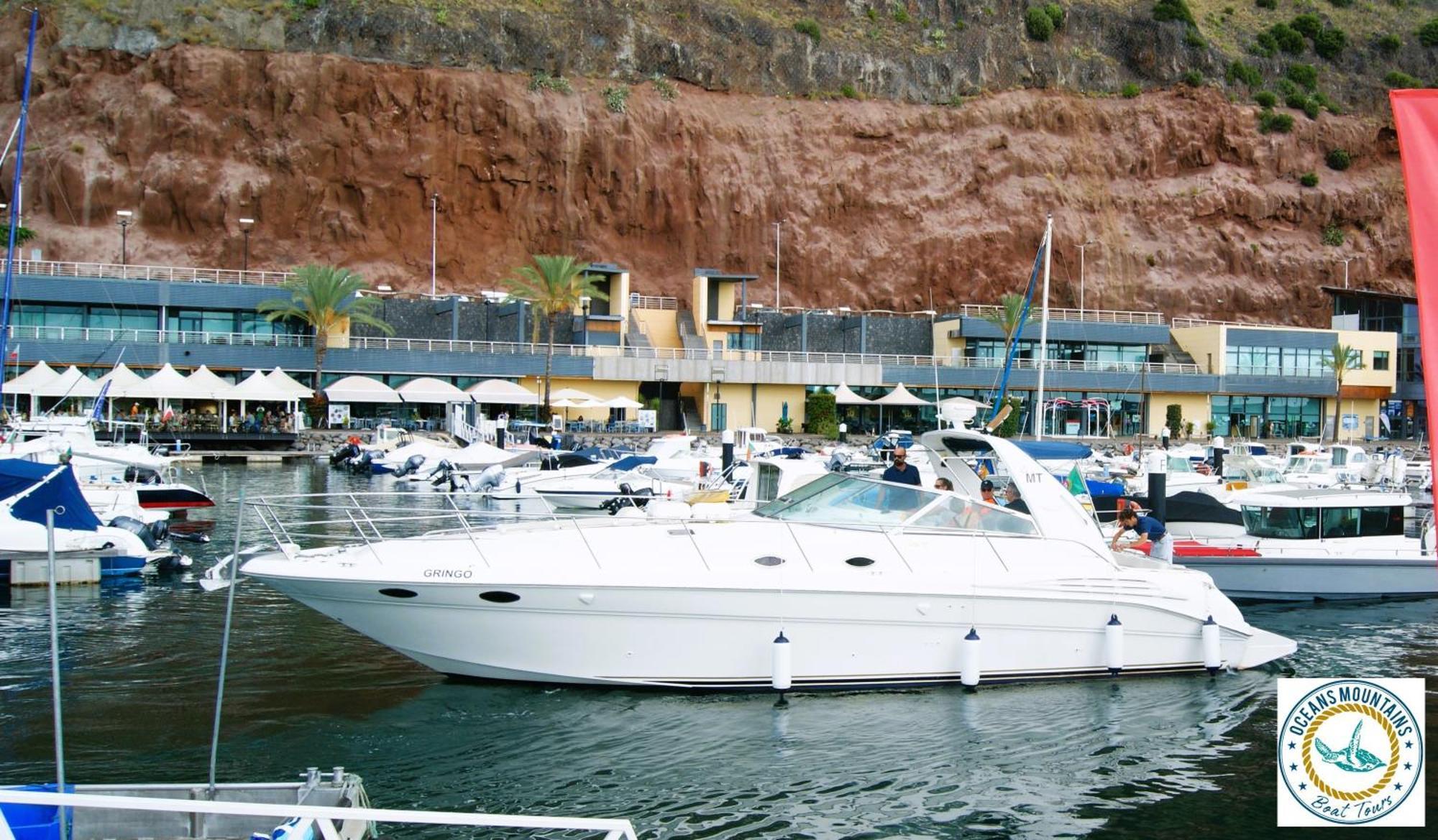 Casa Da Avo Irene Villa Funchal  Ngoại thất bức ảnh
